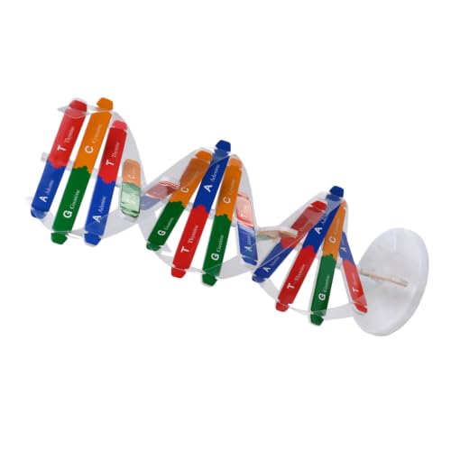 DNA Model Kit Double Helix Model Self-Assembling Science Plaything for Classroom Teaching Human Genes Learning Aid Biology Experiment Accessory for Students