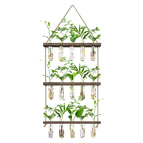 XXXFLOWER Wooden Stand with Test Tube Propagation Station Rack Desktop Hydroponics Terrarium Wall Terrarium for Home Office Plant Hanger Flower Vases Wall Decor Hydroponic Cuttings