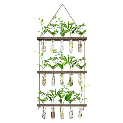 XXXFLOWER Wooden Stand with Test Tube Propagation Station Rack Desktop Hydroponics Terrarium Wall Terrarium for Home Office Plant Hanger Flower Vases Wall Decor Hydroponic Cuttings
