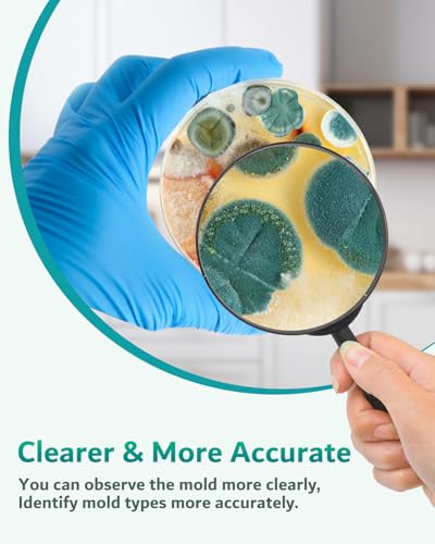 Mold Test Kit for Home - 12 Simple Detection Tests for HVAC, Surfaces & Indoor Air Quality, DIY Black Mold Detector Testing kit at Home, with Detailed Identification Guide & Free Lab Analysis - style: 12 Test Plates