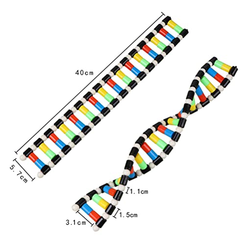 iplusmile DNA Double Helix Structure Models Kit Biological Science Popularization Teaching Aid for DNA Assembling, Educational Learning for School Student