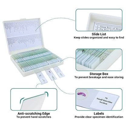 100Pcs Prepared Microscope Slides with Specimens for Kids Science Learning