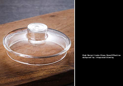 Glass Measuring Cup with Lid, Graduated Beaker Mug with Handle, Light-weight Borosilicate Glass V-Shaped Spout Microwave Safe Scales Cup for Cooking Baking (2cup/16oz/500ml) - size: 16 fl oz