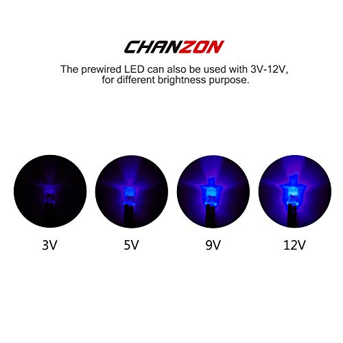 CHANZON 20 pcs Pre-Wired 5mm Purple LED Diode Lights (DC 12V) - color: H) Purple (20pcs)