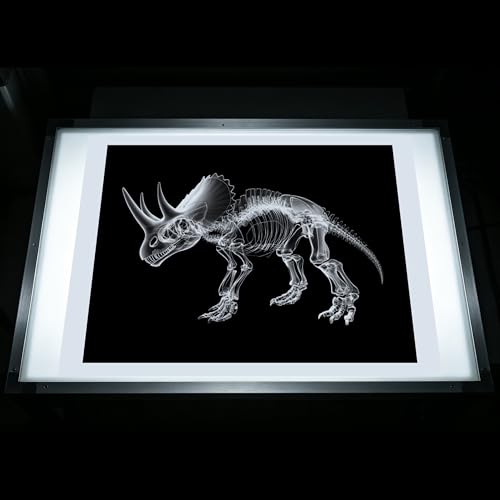 Thematic Animal X-Rays, Set of 16, Simulation Specimen, Science Education Materials for Kindergarten & Preschool, Light Table Accessories, Montessori & Reggio-Inspired (Dinos) - color: Dinos