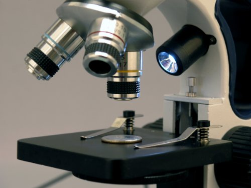 AmScope M158-2L Cordless Compound Monocular Microscope, WF10x Eyepiece