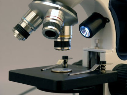 AmScope M158-2L Cordless Compound Monocular Microscope, WF10x Eyepiece