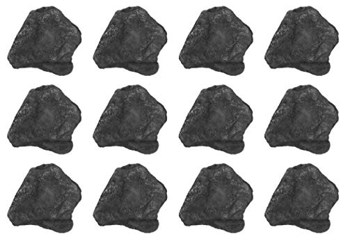 EISCO 12PK Raw Anthracite Coal, Metamorphic Rock Specimens - Approx. 1" - Geologist Selected & Hand Processed - Great for Science Classrooms - Class Pack
