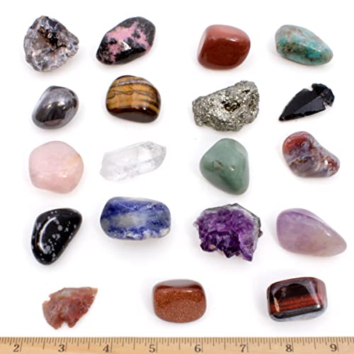 DANCING BEAR 18 Pc Rock and Mineral Educational Collection & Deluxe Collection Box with Description Sheet and Educational Information. Limited Edition, Geology Gem Kit for Kids with Display Case