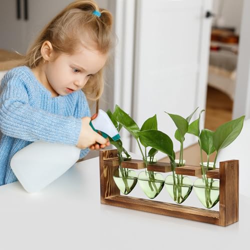 Plant Propagation Stations Heart Plant Terrarium Kit - color: Green