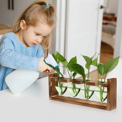 Plant Propagation Stations Heart Plant Terrarium Kit - color: Green