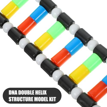 Alasum DNA Double Helix Model Molecular Model Kit for Biology Teaching Display Science Education Toy for Classroom Student Learning and Biology 15.74In