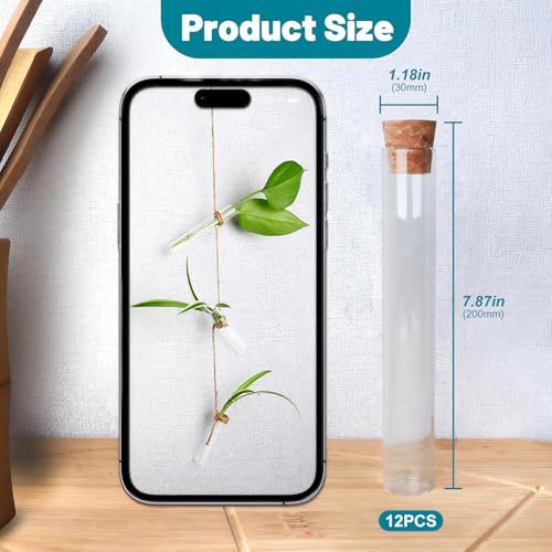 6pcs 100ml Glass Test Tube with Cap Match Rack - 7.87" Tall 1.18" Diameter - size: 30 x 200mm