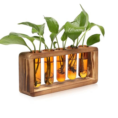 Glass Plant Propagation Station with 5 Test Tubes Colorful Planter Vase - color: Amber