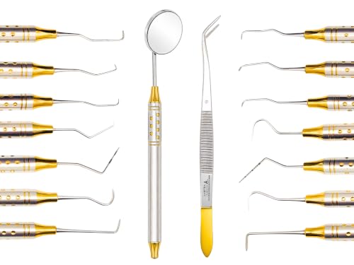 ARTMAN INSTRUMENTS Dental Hygienist Tool Kit (10 PCs) – Includes Mirror, Probe, Tweezer, Scalers, Pocket Probe, Curettes – Prophylaxis Teeth Cleaning Set, Autoclavable, with Sterilization Cassette