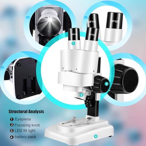 Portable Stereo Microscope - 20x-50x Magnification, Wide Angle Eyepieces, Reversible Black/White Table Plate, for Kids 8-12