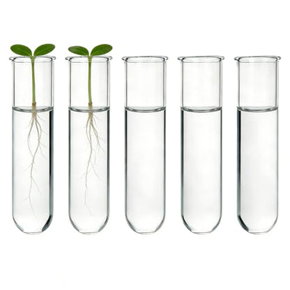 YIBOT Plant Propagation Glass Test Tubes Accessories