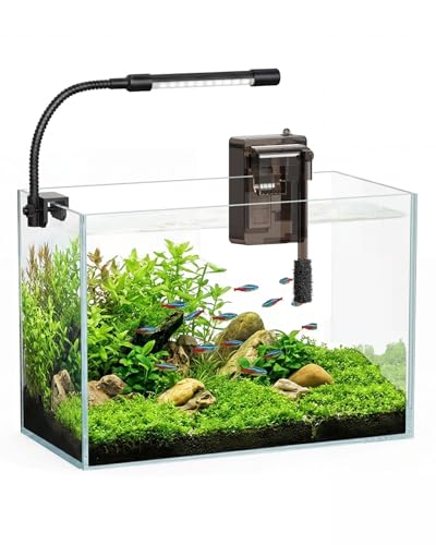 Glass Fish Tank Kit, 3 Gallon Betta Nano Fish Tank Aquarium Starter Kit - color: Transparent, size: 3 Gallon