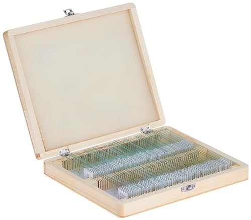 Celestron Prepared Microscope Slides, 100-Piece Specimen Collection - size: Prepared Slides - 100 piece box