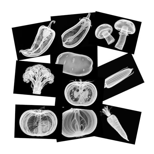 Vegetable, Fruit and Plant X-Rays, Set of 10, Simulation Specimen, Science Experiment Material for Kindergarten, Light Table, Montessori & Reggio-Inspired (Vegetables)