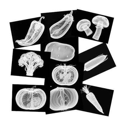 Vegetable, Fruit and Plant X-Rays, Set of 10, Simulation Specimen, Science Experiment Material for Kindergarten, Light Table, Montessori & Reggio-Inspired (Vegetables)