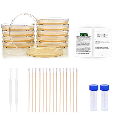 Bacteria Science Kit Petri Dishes with Agar and Swabs | Top Science Fair Project Bacteria Growing Kit | Prepoured LB-Agar Plates and Cotton Swabs | STEM for Kids Aged 6 7 8 9 10 Girls Boys Gifts