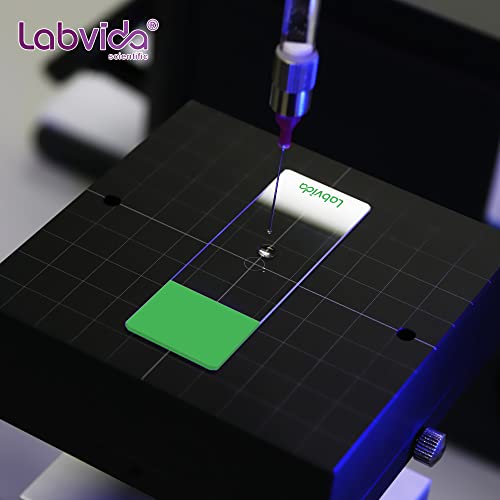 144pcs Green Frosted Microscope Slide, Dim.75mmx25mm, LVQ034G2 - color: 144pcs, Green Color Frosted Slides