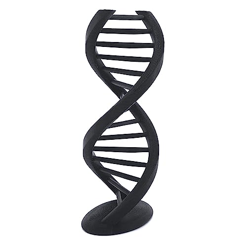 EnderToys DNA Double Helix Statue - 6 Inches Tall - Science Decor Gift - Desk Toy Sculpture - 3D Printed