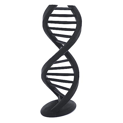 EnderToys DNA Double Helix Statue - 6 Inches Tall - Science Decor Gift - Desk Toy Sculpture - 3D Printed