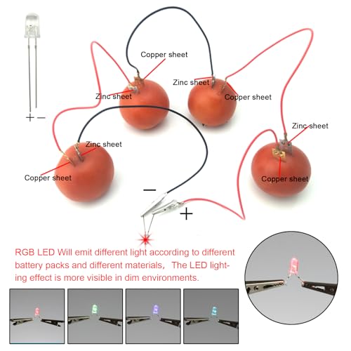 EUDAX Fruit Battery Science Experiment Kit for DIY School Home Teaching Equipment, Orange Lemon Potato Electronic Clock Science Project Kit Physics Educational for Students Teachers (8 Set) - style: 8 Set
