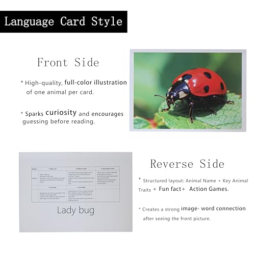 Thematic Animal X-Rays, Set of 16, Simulation Specimen, Science Education Materials for Kindergarten & Preschool, Light Table Accessories, Montessori & Reggio-Inspired (Insects) - color: Insects