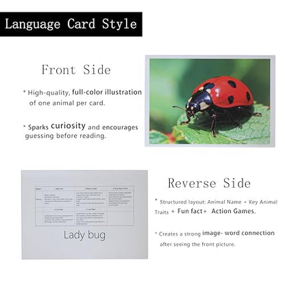Thematic Animal X-Rays, Set of 16, Simulation Specimen, Science Education Materials for Kindergarten & Preschool, Light Table Accessories, Montessori & Reggio-Inspired (Insects) - color: Insects