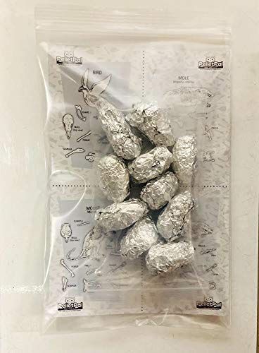 PelletPal Premium Barn Owl Pellets, Large (Pack of 10) - Free Bone ID Chart, 10 Forceps, 10 Paddle Picks, and Teaching Guide Included!