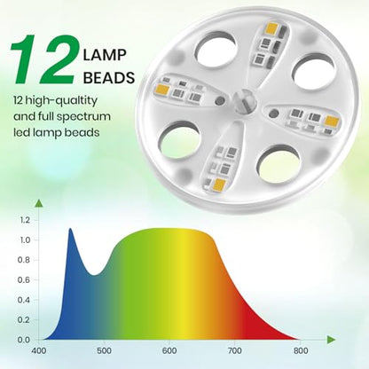 Bonviee Seed Starter Trays with 12-LED Grow Lights, Clear, 5 Pack - color: Clear, size: 5 Packs