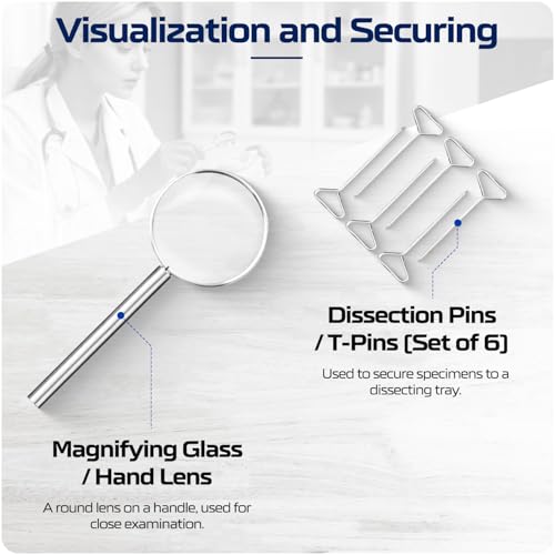 46-Piece Surgical-Grade Dissection Kit, College and University