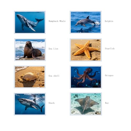 Thematic Animal X-Rays, Set of 16, Simulation Specimen, Science Education Materials for Kindergarten & Preschool, Light Table Accessories, Montessori & Reggio-Inspired (Sea Animals) - color: Sea animals