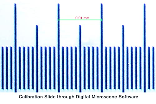 Celestron Microscope Calibration Slide for Measuring Specimens