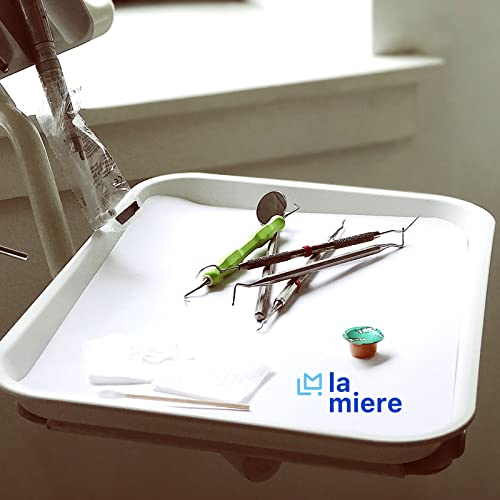 LA MIERE 1Pcs Autoclavable Dental Procedure Tray Lockable Set up Flat Trays Size B (Ritter),Plastic Instrument B-Lok Flat Trays, 13.25 x 9.75X 0.875 Inches (1, Pure White) - color: Pure White, size: 1