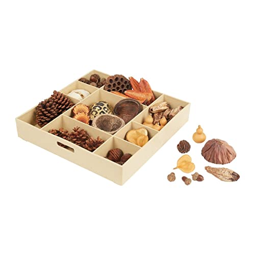 Kaplan Early Learning Company Nature's Geometry: Loose Parts STEM Kit