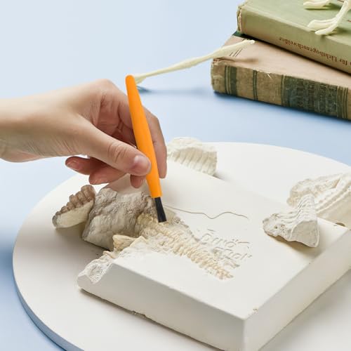 BESPORTBLE Kids Digging Tools Excavation Kit 3 Sets