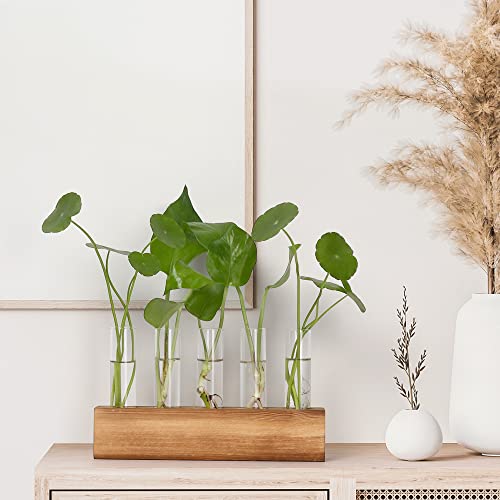 YIBOT Plant Propagation Station, Plant Terrarium with Wooden Stand - color: Brown, size: 8.7"L x1.6"W x2"H