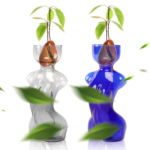 Plant Propagation Jars Unique Body Avocado Vase - color: Grey Blue