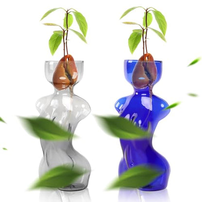 Plant Propagation Jars Unique Body Avocado Vase - color: Grey Blue