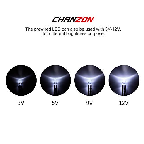 CHANZON 20 pcs Pre-Wired 5mm White LED Diode Lights (DC 12V) - color: B) White (20pcs)