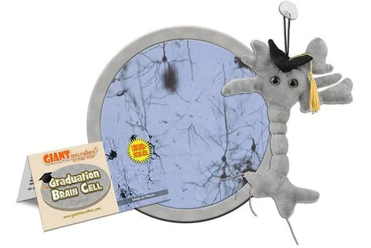 GIANTmicrobes Graduation Brain Cell Plush - Celebrate with our signature Brain Cell plush donning a graduation cap and tassel, Uniquely Fun Student Gift to Commemorate Achievements - size: Small