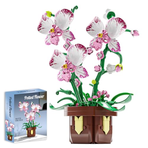 Botanicals Orchid Artificial Flowers Building Set - color: Blush Pink