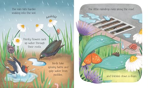 One Little Raindrop: A Science Book for Little Children That Explores The Water Cycle Through Interactive Holes on Pages (Life Cycles)