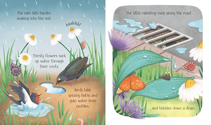 One Little Raindrop: A Science Book for Little Children That Explores The Water Cycle Through Interactive Holes on Pages (Life Cycles)