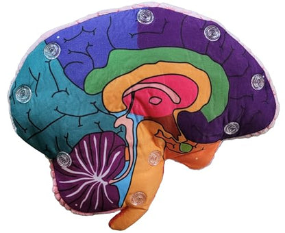 GIANTmicrobes Brain Model Anatomy Plush with Embroidered Details