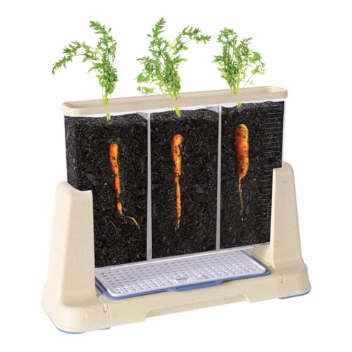 Kaplan Early Learning Company Explore and Discover 3-Section Root View Planter